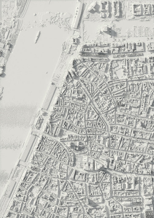 3D-Reliefkarte von Antwerpen, von oben gesehen (3D-Rendering)